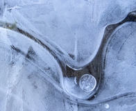 "Eisvogel"