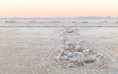Landschaft mit Reif