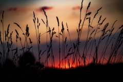 Sonnenuntergang