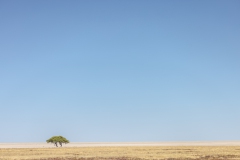 Etosha