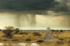 Etosha bei Unwetter