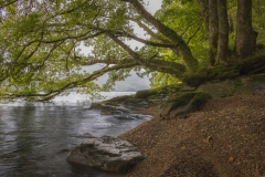Loch Lomond