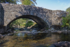 Brücke