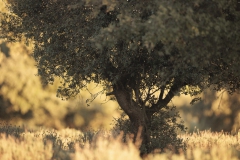 Landschaft
