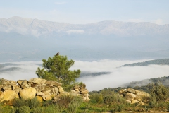 Landschaft mit Kaiseradler